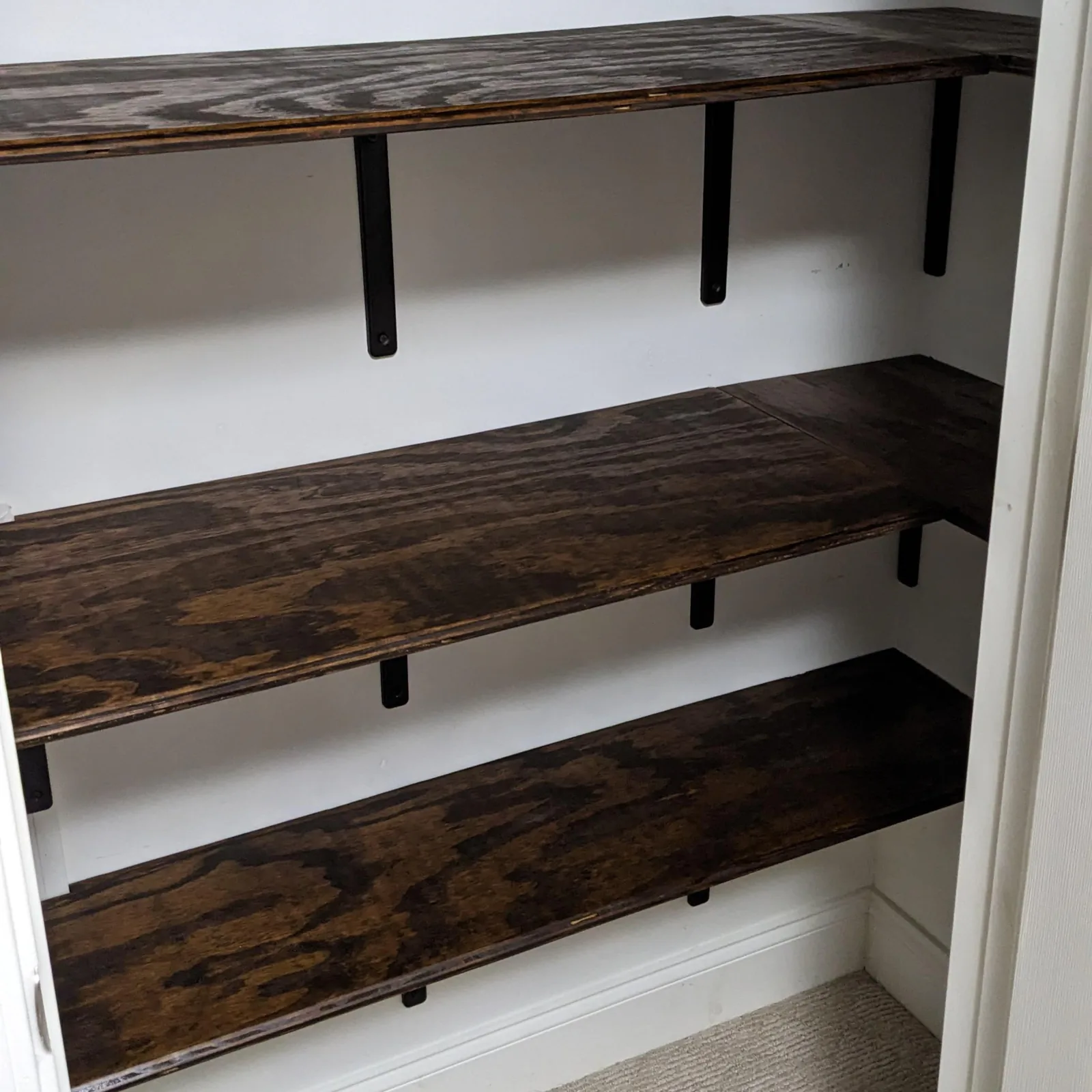 Edge profiles and end grain of maple, oak, and walnut laid out for finishing tests